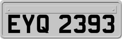 EYQ2393