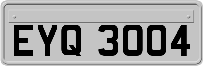 EYQ3004