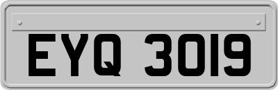 EYQ3019