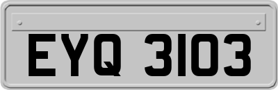 EYQ3103