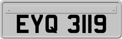 EYQ3119