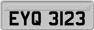 EYQ3123