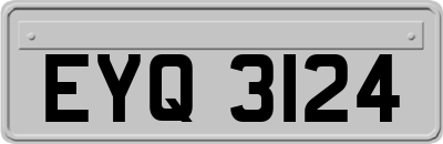 EYQ3124