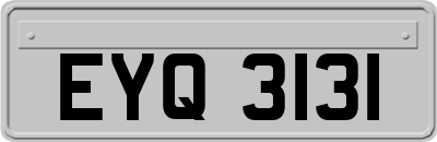 EYQ3131
