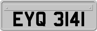 EYQ3141