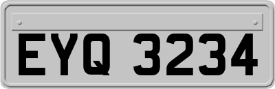 EYQ3234