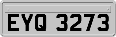 EYQ3273