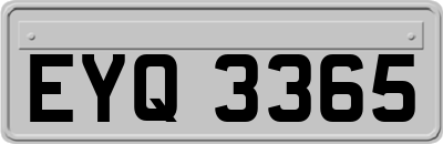 EYQ3365