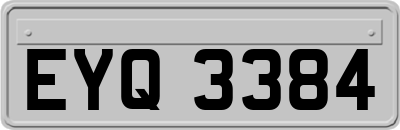 EYQ3384