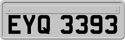 EYQ3393