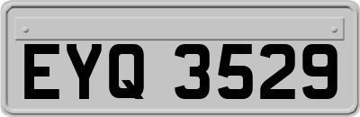 EYQ3529