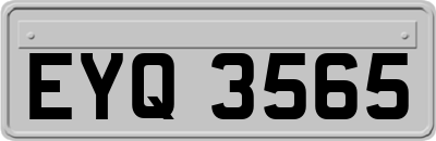 EYQ3565
