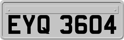 EYQ3604