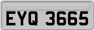 EYQ3665
