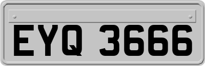 EYQ3666