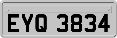 EYQ3834