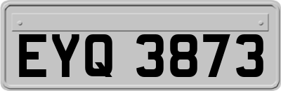 EYQ3873