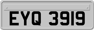 EYQ3919