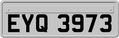 EYQ3973