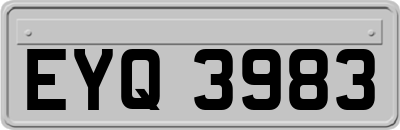 EYQ3983