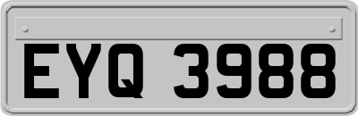 EYQ3988