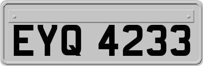 EYQ4233