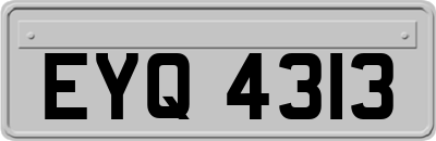 EYQ4313