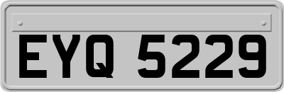 EYQ5229