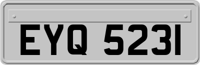 EYQ5231