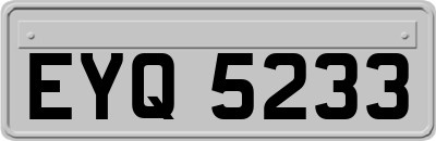 EYQ5233