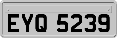 EYQ5239