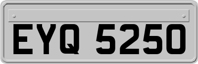 EYQ5250