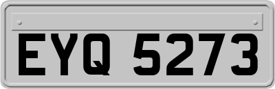 EYQ5273
