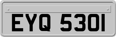 EYQ5301