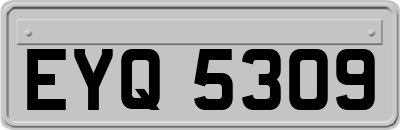 EYQ5309