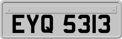 EYQ5313
