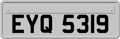 EYQ5319