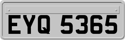 EYQ5365