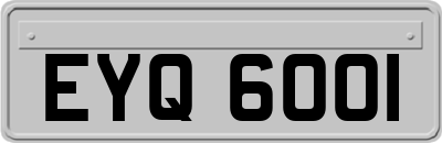 EYQ6001