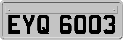 EYQ6003