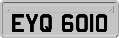 EYQ6010