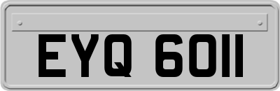 EYQ6011