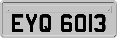 EYQ6013