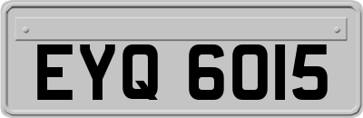 EYQ6015