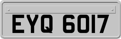 EYQ6017