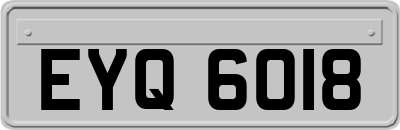 EYQ6018