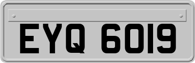 EYQ6019