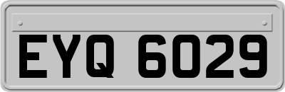 EYQ6029