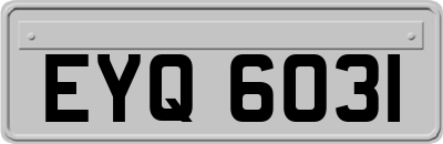 EYQ6031