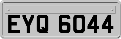 EYQ6044